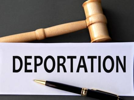 IL immigration lawyer