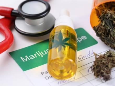 IL immigration lawyer