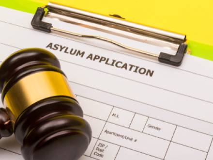 IL immigration lawyer